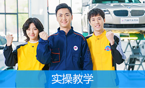 实战+实训
